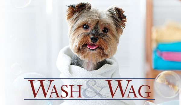 Wash & Wag